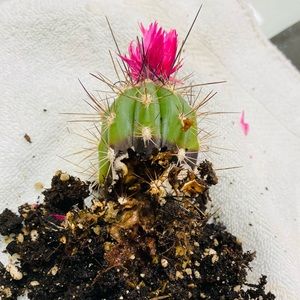 Meet your Posher, April